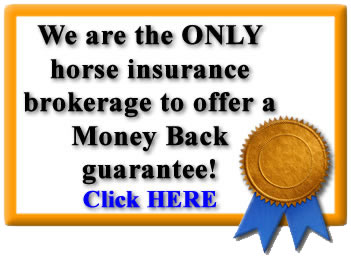 Money Back Guarantee!